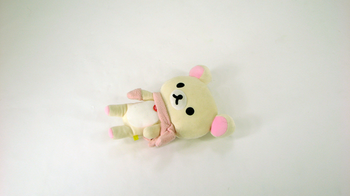 photo byロム20101226