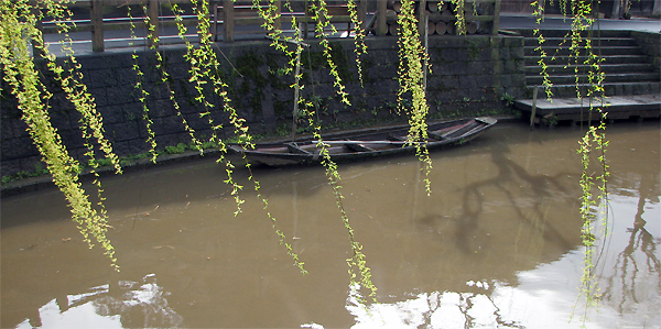 photo byロム20100320