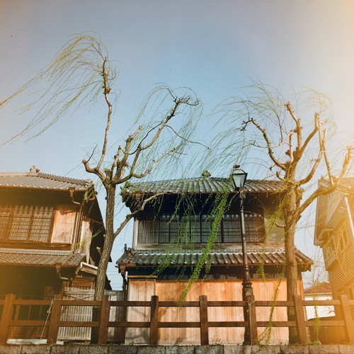 photo byロム20100320