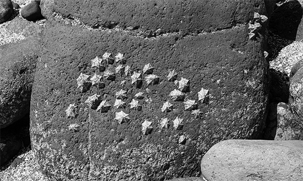 Copyright2016(C) All rights reserved.